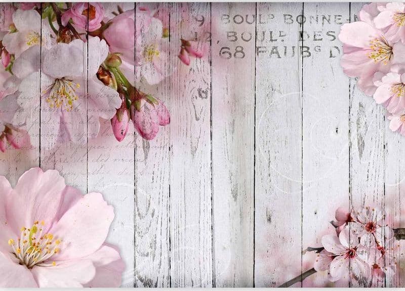 Fotomurale Apple Blossoms in Carta da parati Collezione Casa - Trebisacce, commercioVirtuoso.it