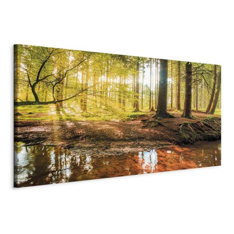 Quadro Autumnal Reverie in Poster e stampe Collezione Casa - Trebisacce, commercioVirtuoso.it