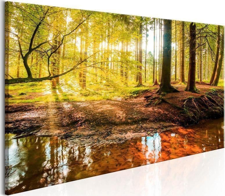 Quadro Autumnal Reverie in Poster e stampe Collezione Casa - Trebisacce, commercioVirtuoso.it