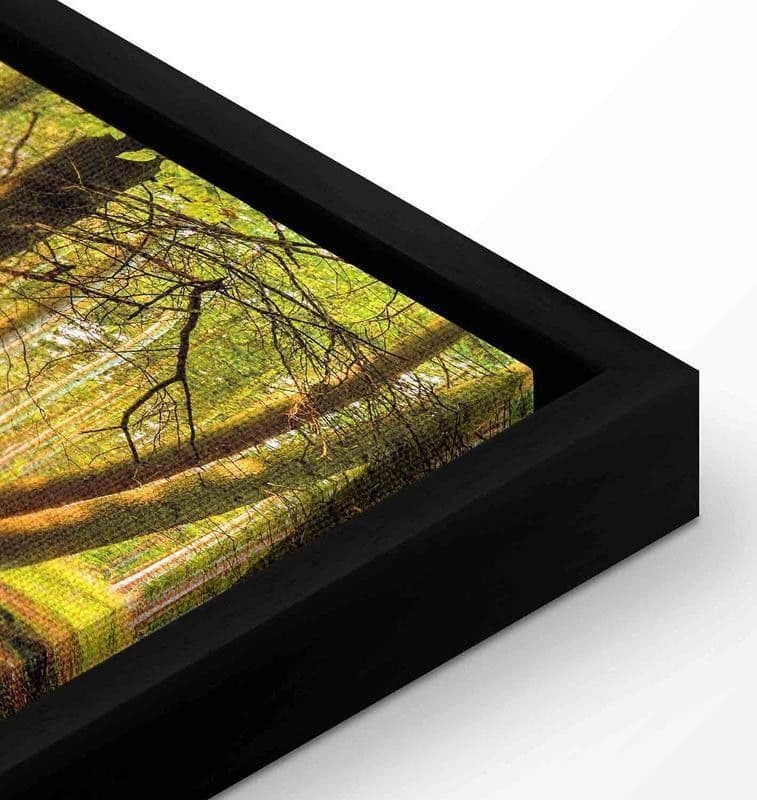 Quadro Autumnal Reverie in Poster e stampe Collezione Casa - Trebisacce, commercioVirtuoso.it