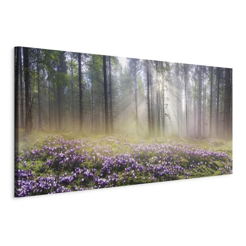 Quadro Purple Meadow (1 Part) Wide in Poster e stampe Collezione Casa - Trebisacce, commercioVirtuoso.it