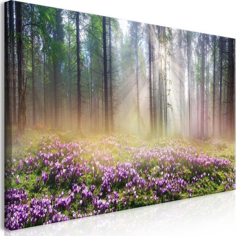 Quadro Purple Meadow (1 Part) Wide in Poster e stampe Collezione Casa - Trebisacce, commercioVirtuoso.it