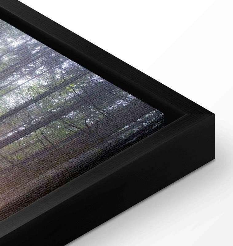 Quadro Purple Meadow (1 Part) Wide in Poster e stampe Collezione Casa - Trebisacce, commercioVirtuoso.it