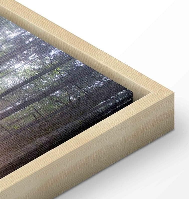 Quadro Purple Meadow (1 Part) Wide in Poster e stampe Collezione Casa - Trebisacce, commercioVirtuoso.it