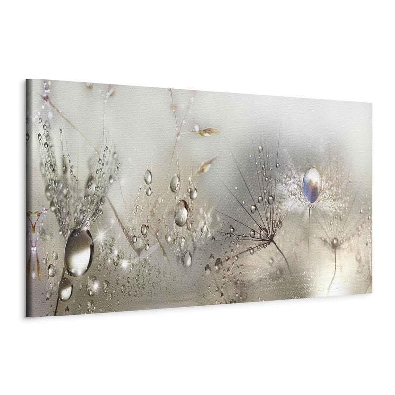 Quadro Morning Song in Poster e stampe Collezione Casa - Trebisacce, commercioVirtuoso.it