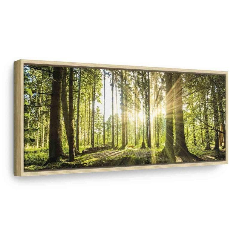 Quadro Daylight