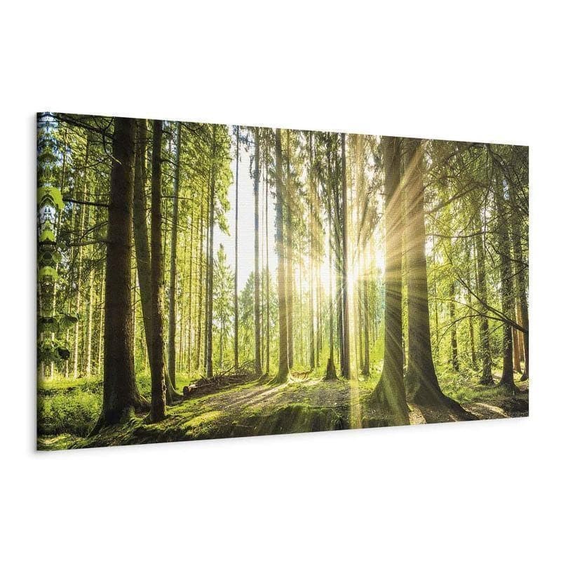 Quadro Daylight in Poster e stampe Collezione Casa - Trebisacce, commercioVirtuoso.it
