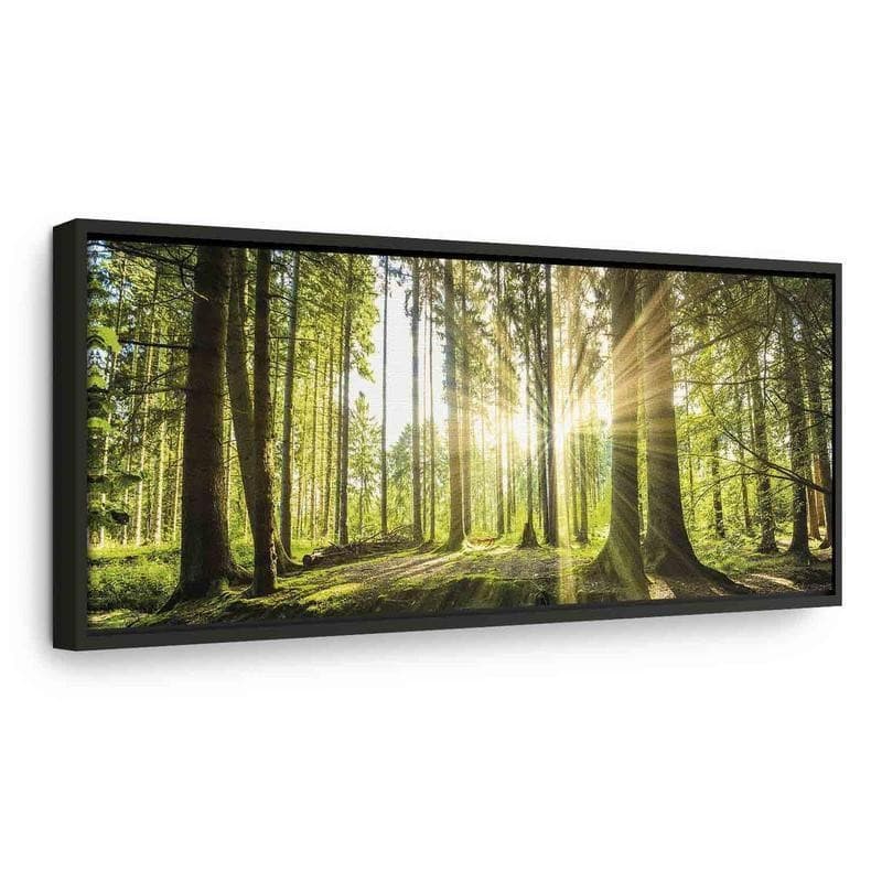 Quadro Daylight in Poster e stampe Collezione Casa - Trebisacce, commercioVirtuoso.it