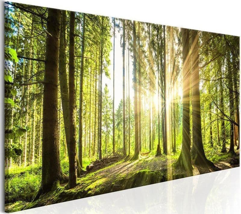 Quadro Daylight in Poster e stampe Collezione Casa - Trebisacce, commercioVirtuoso.it