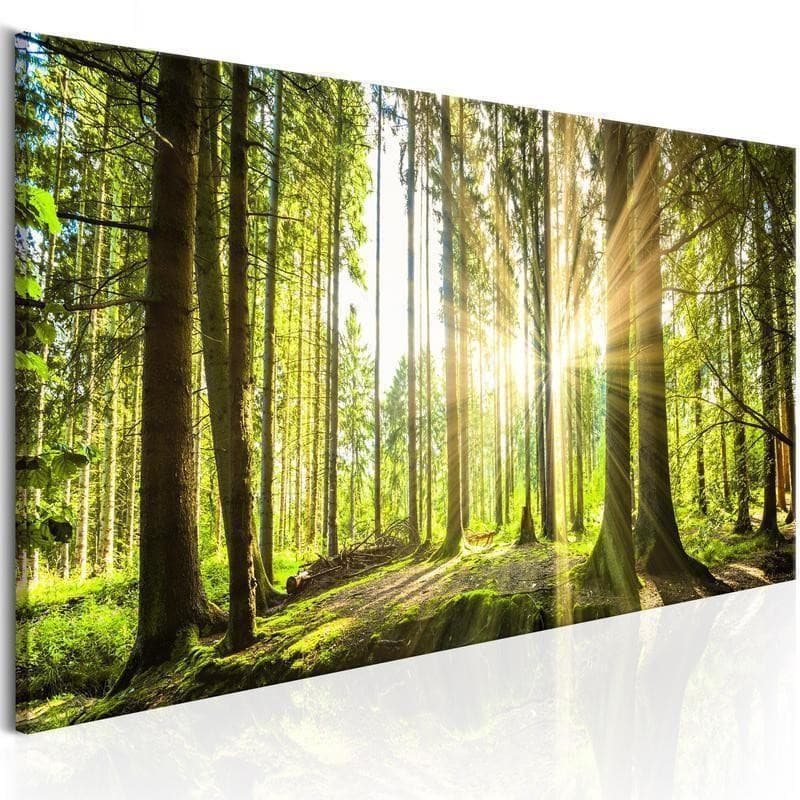 Quadro Daylight in Poster e stampe Collezione Casa - Trebisacce, commercioVirtuoso.it