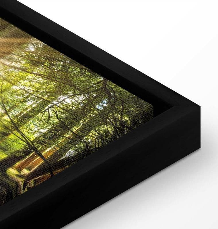 Quadro Daylight in Poster e stampe Collezione Casa - Trebisacce, commercioVirtuoso.it