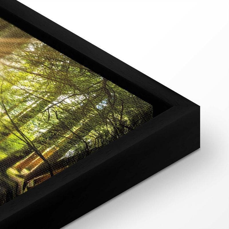 Quadro Daylight in Poster e stampe Collezione Casa - Trebisacce, commercioVirtuoso.it