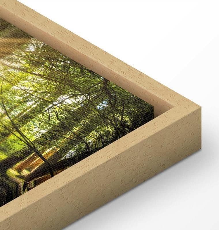 Quadro Daylight in Poster e stampe Collezione Casa - Trebisacce, commercioVirtuoso.it
