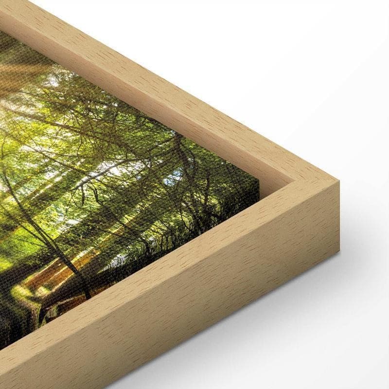 Quadro Daylight in Poster e stampe Collezione Casa - Trebisacce, commercioVirtuoso.it