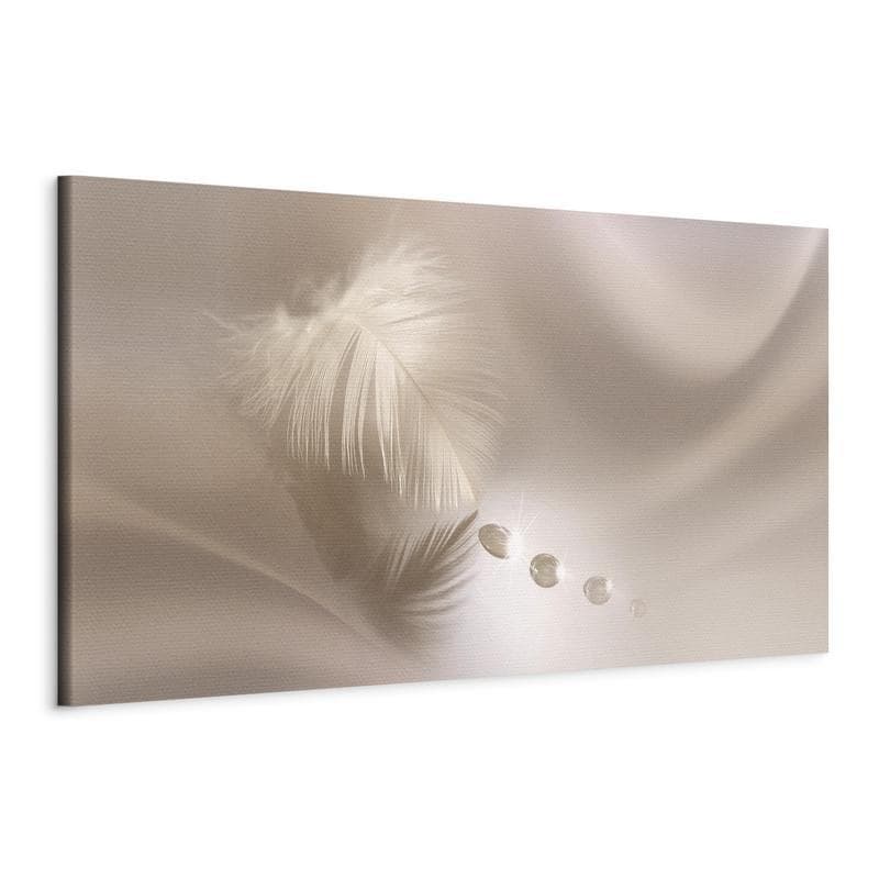 Quadro Delicate Feather in Poster e stampe Collezione Casa - Trebisacce, commercioVirtuoso.it