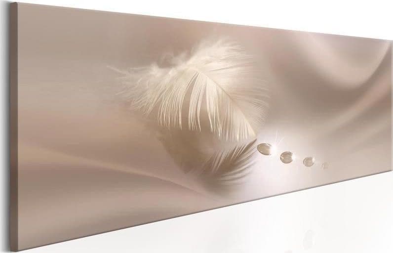 Quadro Delicate Feather in Poster e stampe Collezione Casa - Trebisacce, commercioVirtuoso.it