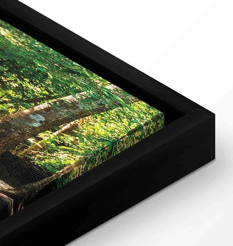 Quadro Nature Forest Waterfall in Poster e stampe Collezione Casa - Trebisacce, commercioVirtuoso.it