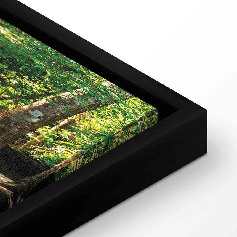 Quadro Nature Forest Waterfall in Poster e stampe Collezione Casa - Trebisacce, commercioVirtuoso.it