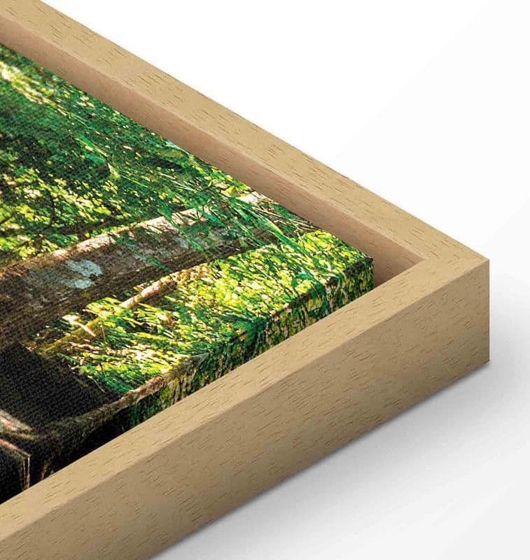 Quadro Nature Forest Waterfall in Poster e stampe Collezione Casa - Trebisacce, commercioVirtuoso.it