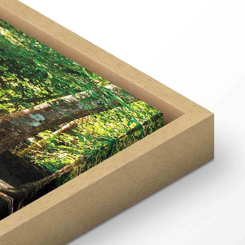 Quadro Nature Forest Waterfall in Poster e stampe Collezione Casa - Trebisacce, commercioVirtuoso.it