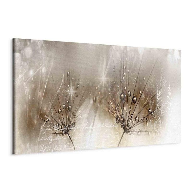 Quadro Drops of Dew (1 Part) Brown Narrow in Poster e stampe Collezione Casa - Trebisacce, commercioVirtuoso.it