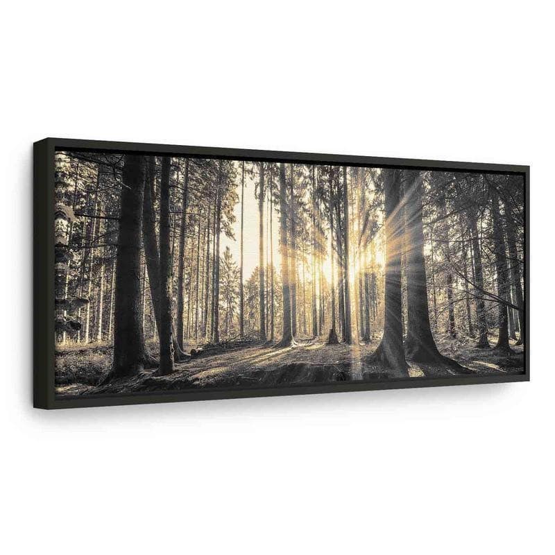 Quadro Il sole del bosco in Poster e stampe Collezione Casa - Trebisacce, commercioVirtuoso.it