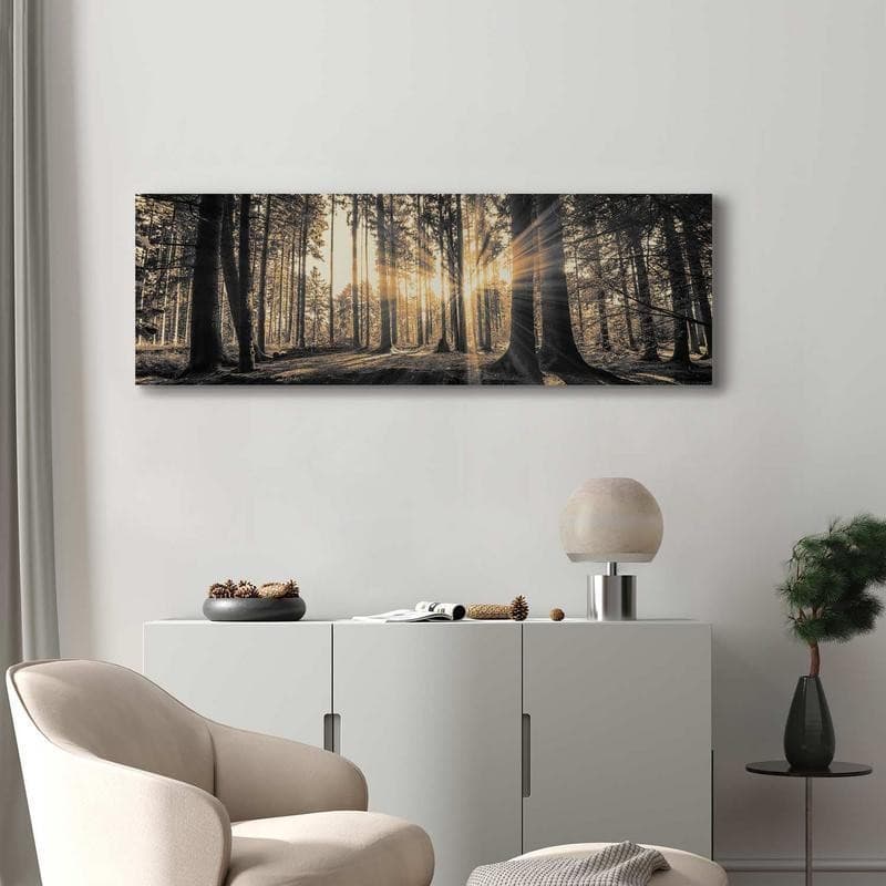 Quadro Il sole del bosco in Poster e stampe Collezione Casa - Trebisacce, commercioVirtuoso.it