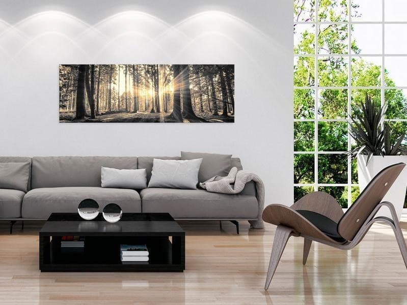 Quadro Il sole del bosco in Poster e stampe Collezione Casa - Trebisacce, commercioVirtuoso.it