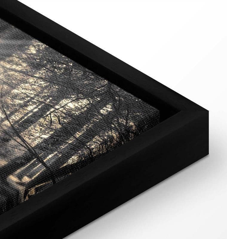 Quadro Il sole del bosco in Poster e stampe Collezione Casa - Trebisacce, commercioVirtuoso.it