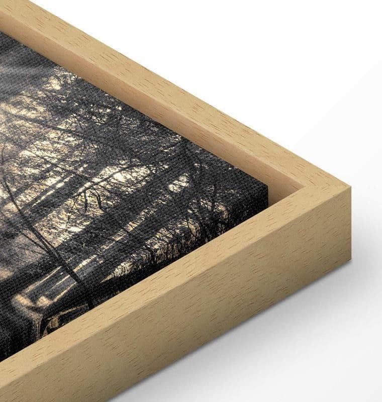 Quadro Il sole del bosco in Poster e stampe Collezione Casa - Trebisacce, commercioVirtuoso.it