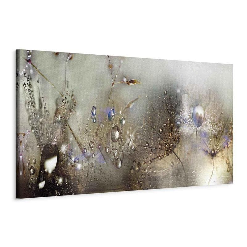 Quadro Nature Sounds in Poster e stampe Collezione Casa - Trebisacce, commercioVirtuoso.it
