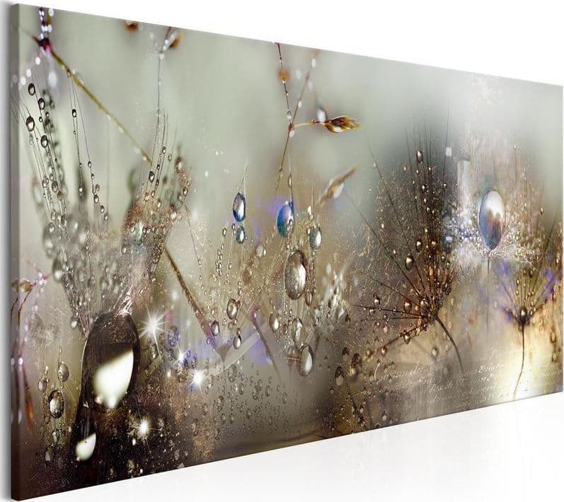 Quadro Nature Sounds in Poster e stampe Collezione Casa - Trebisacce, commercioVirtuoso.it