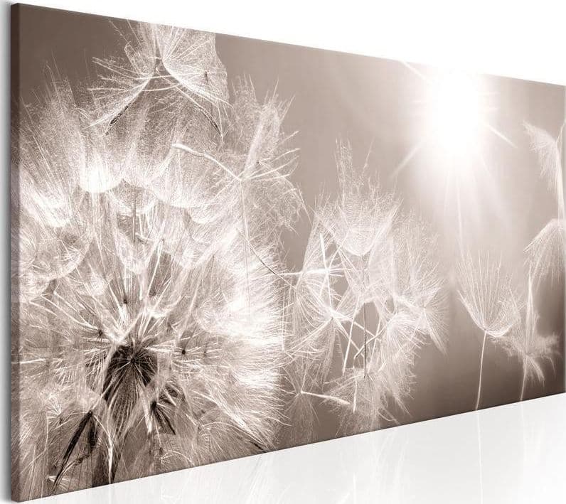 Quadro Summer Dandelions in Poster e stampe Collezione Casa - Trebisacce, commercioVirtuoso.it