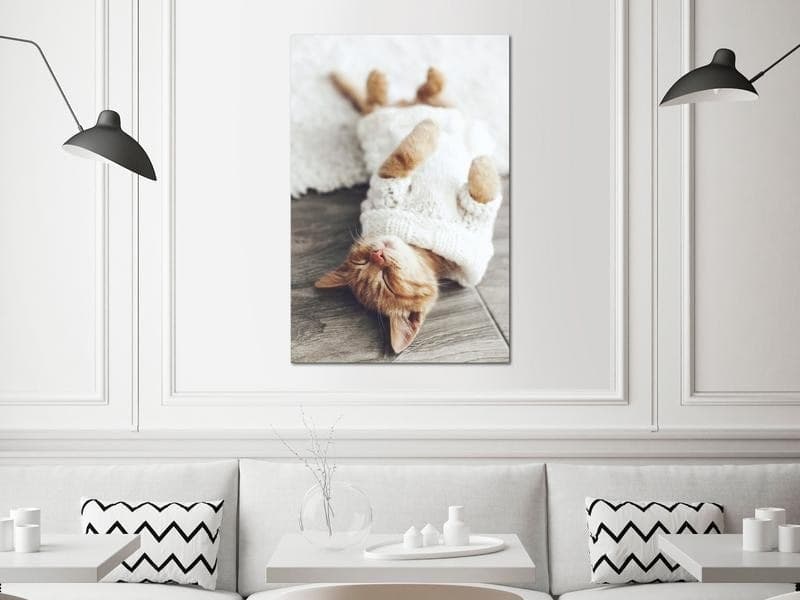 Quadro Lazy Cat (1 Part) Vertical in Poster e stampe Collezione Casa - Trebisacce, commercioVirtuoso.it