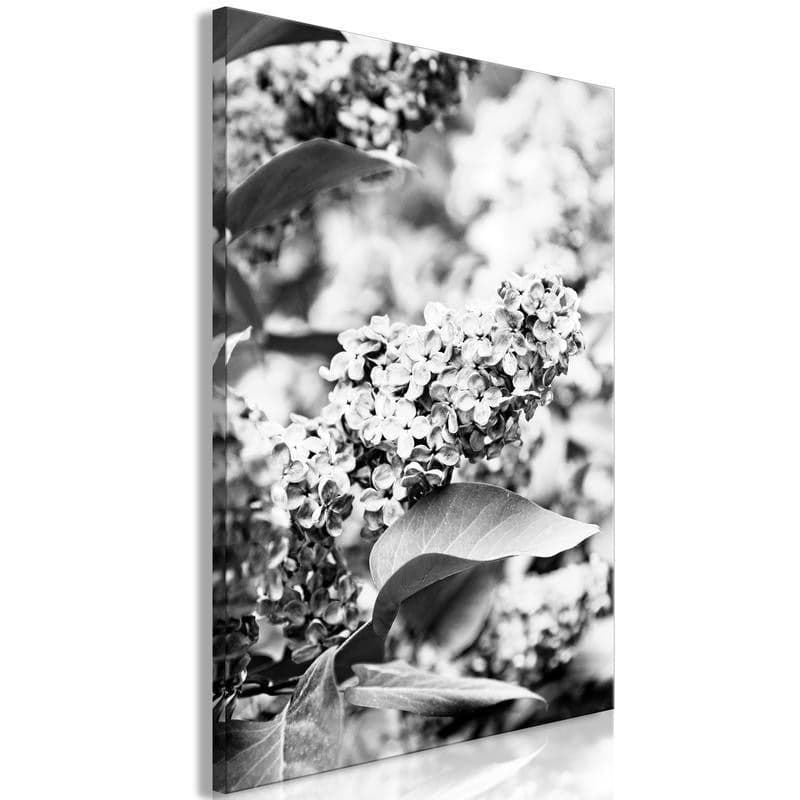 Quadro Monochrome Lilac (1 Part) Vertical in Poster e stampe Collezione Casa - Trebisacce, commercioVirtuoso.it