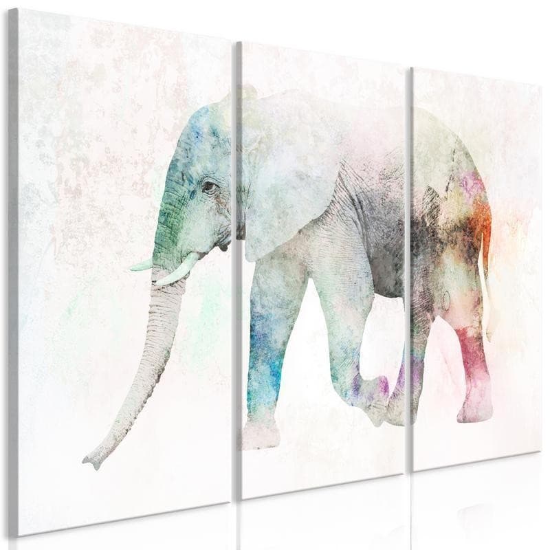 Quadro Painted Elephant (3 Parts) in Poster e stampe Collezione Casa - Trebisacce, commercioVirtuoso.it