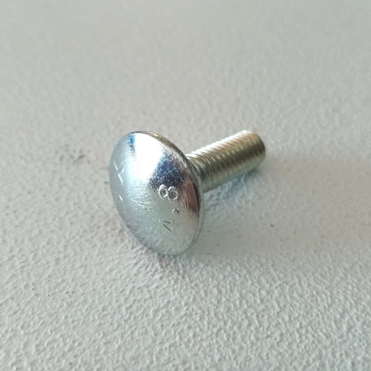 Vite carrettiere 6x25mm - 10pz vite metrica testa tonda con quadro sottotesta bassa resistenza