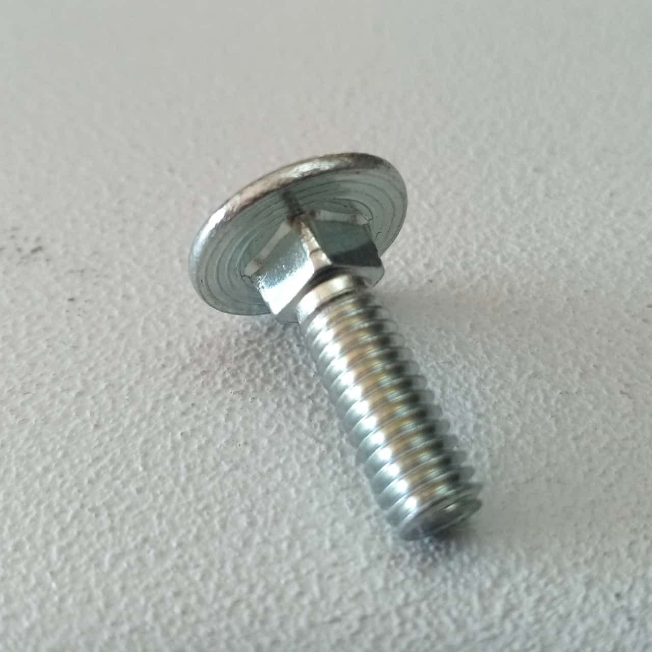 Vite carrettiere 6x25mm - 10pz vite metrica testa tonda con quadro sottotesta bassa resistenza in Bulloni a testa tonda Aloiserw.com - Altomonte, commercioVirtuoso.it