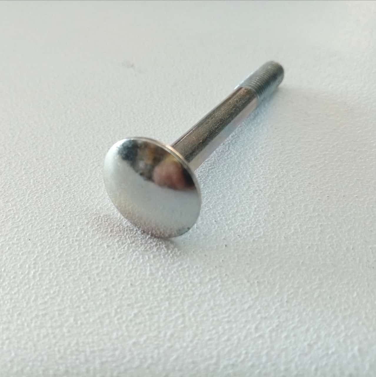 Vite carrettiere 6x60/21mm - 10pz vite metrica testa tonda con quadro sottotesta bassa resistenza in Bulloni a testa tonda Aloiserw.com - Altomonte, commercioVirtuoso.it