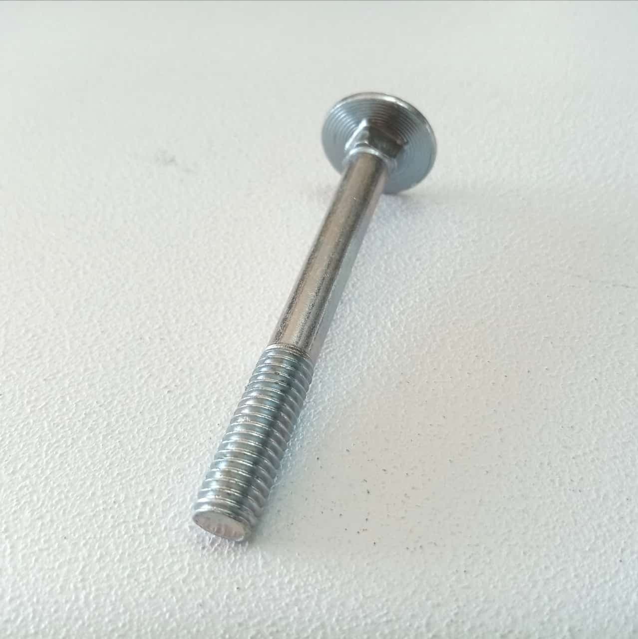 Vite carrettiere 6x100/21mm - 10pz vite metrica testa tonda con quadro sottotesta bassa resistenza in Bulloni a testa tonda Aloiserw.com - Altomonte, commercioVirtuoso.it
