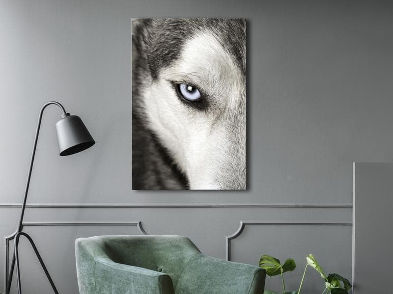 Quadro Dog's Look (1 Part) Vertical in Poster e stampe Collezione Casa - Trebisacce, commercioVirtuoso.it
