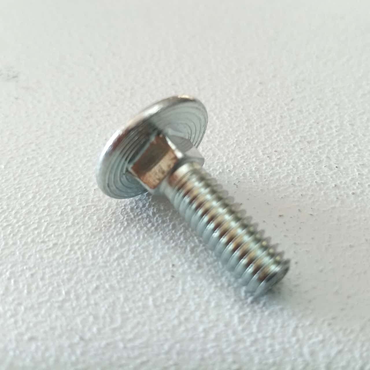 Vite carrettiere 8x30mm - 10pz vite metrica testa tonda con quadro sottotesta bassa resistenza in Bulloni a testa tonda Aloiserw.com - Altomonte, commercioVirtuoso.it