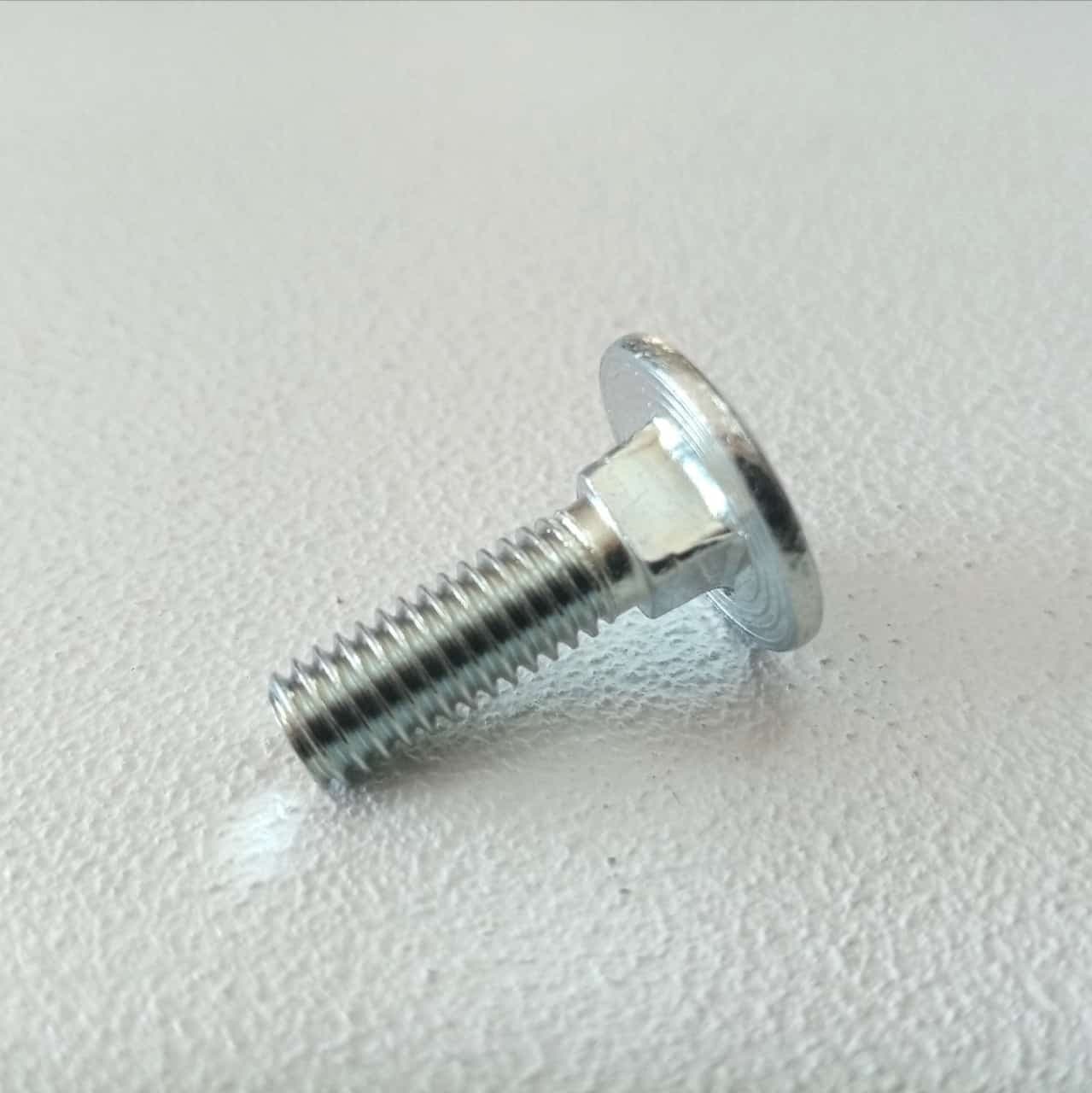 Vite carrettiere 8x30mm - 10pz vite metrica testa tonda con quadro sottotesta bassa resistenza in Bulloni a testa tonda Aloiserw.com - Altomonte, commercioVirtuoso.it