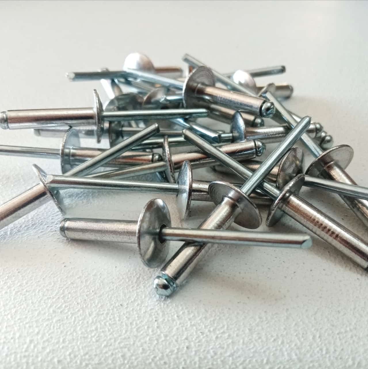 Rivetti alluminio / acciaio 4,8x20mm - 200pz testa larga modello a strappo in  Aloiserw.com - Altomonte, commercioVirtuoso.it