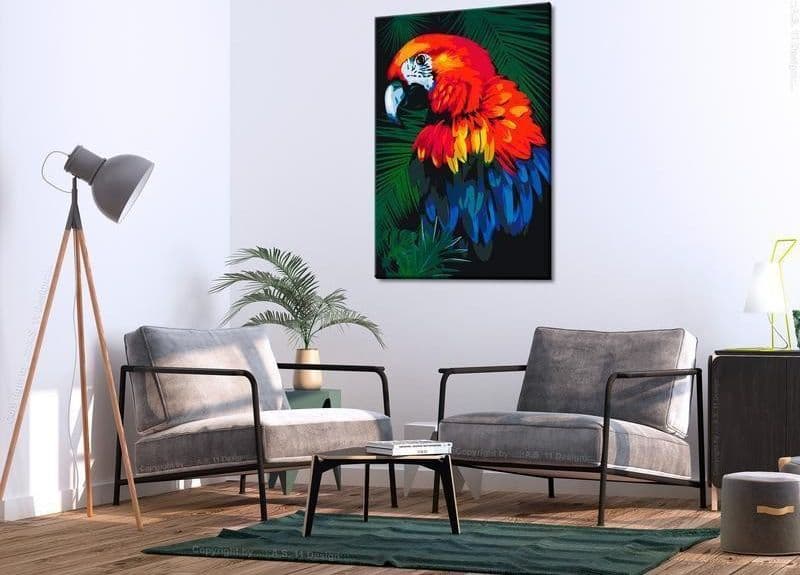 Quadro fai da te Pappagalli in Dipingere con i numeri Collezione Casa - Trebisacce, commercioVirtuoso.it