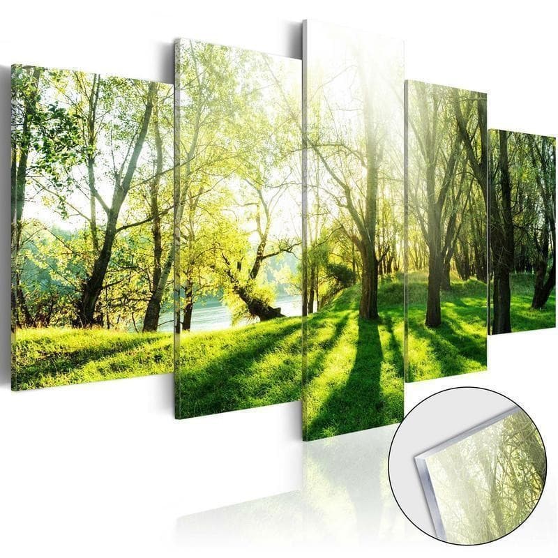 Quadri su vetro acrilico Green Glade [Glass] in Poster e stampe Collezione Casa - Trebisacce, commercioVirtuoso.it
