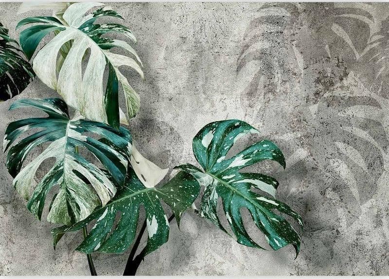 Carta da parati - Variegata in Carta da parati Collezione Casa - Trebisacce, commercioVirtuoso.it