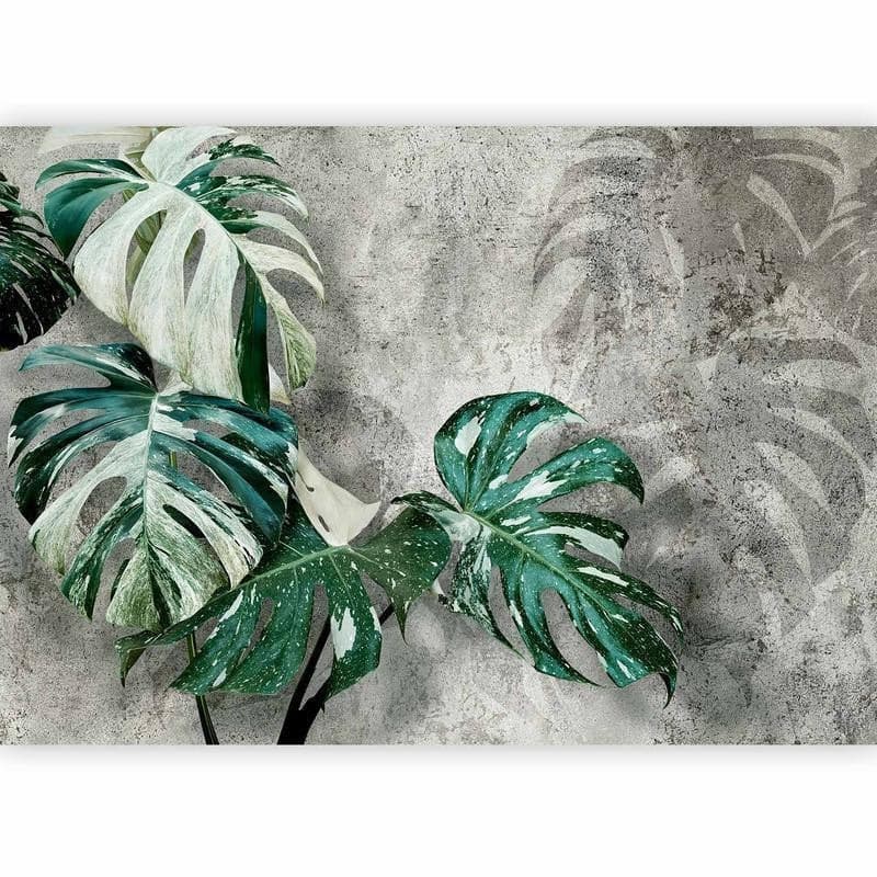 Carta da parati - Variegata in Carta da parati Collezione Casa - Trebisacce, commercioVirtuoso.it