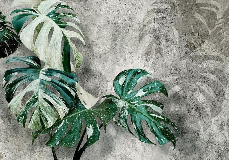 Carta da parati - Variegata in Carta da parati Collezione Casa - Trebisacce, commercioVirtuoso.it