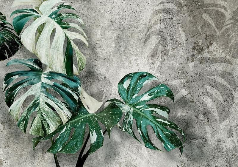 Carta da parati - Variegata in Carta da parati Collezione Casa - Trebisacce, commercioVirtuoso.it